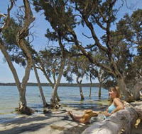 Stokes National Park - Accommodation Whitsundays