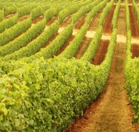 Xanadu Wines - Accommodation Whitsundays