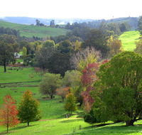 Golden Valley Tree Park - Accommodation Whitsundays