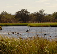 Anytime Adventures in Mandurah  the Peel Region - Accommodation Whitsundays
