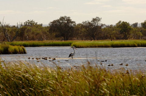 Anytime Adventures In Mandurah & The Peel Region - Accommodation Whitsundays 0