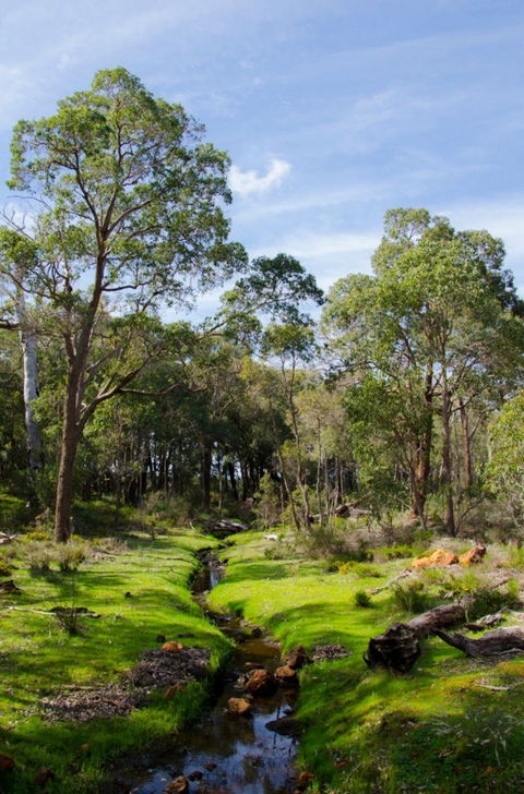 Anytime Adventures In Mandurah & The Peel Region - Accommodation Whitsundays 11