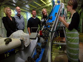  Accommodation Whitsundays