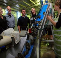 Eyre Peninsula's Seafood Trail - Accommodation Whitsundays