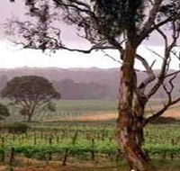 Yangarra Estate Vineyard - Accommodation Whitsundays