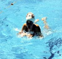 Mount Gambier Aquatic Centre - Accommodation Whitsundays