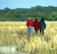Onkaparinga River Recreation Park - Accommodation Whitsundays