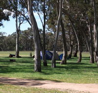 Black Cockatoo Bush Camp - Accommodation Whitsundays