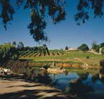 Mount Hurtle Winery home of Geoff Merrill Wines - Accommodation Whitsundays