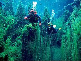 Port Macdonnell SA Accommodation Whitsundays