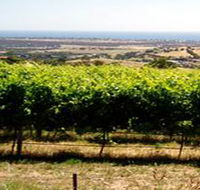 Braydun Hill Vineyard - Accommodation Whitsundays