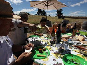 God's Hill Wines - Accommodation Whitsundays 0