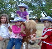 Amberainbow Pony Rides - Accommodation Whitsundays