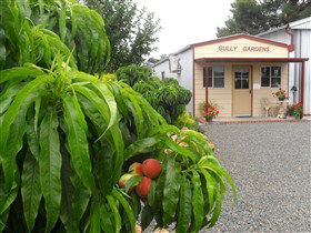 Gully Gardens - Accommodation Whitsundays 0