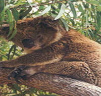 Mikkira Station - Accommodation Whitsundays