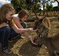 Kangaroo Island Wildlife Park - Accommodation Whitsundays