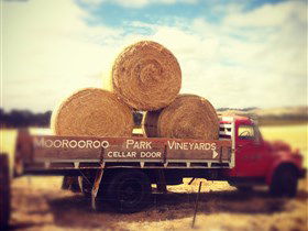Moorooroo Park Vineyards - Accommodation Whitsundays 0
