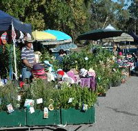Meadows Monthly Market - Accommodation Whitsundays