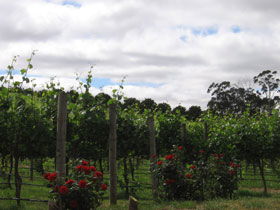 Accommodation Whitsundays