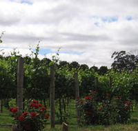 Manyara Vineyard - Accommodation Whitsundays