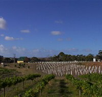 Deep Creek Wines and Alpacas - Accommodation Whitsundays