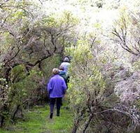 Jack And Hilda McArthur Walk - Accommodation Whitsundays