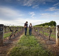 Coonawarra Wineries Walking Trail - Accommodation Whitsundays