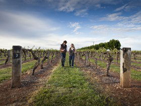 Coonawarra Wineries Walking Trail - Accommodation Whitsundays 0