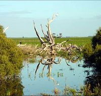 Bool Lagoon Game Reserve and Hacks Lagoon Conservation Park - Accommodation Whitsundays