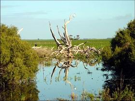 Bool Lagoon Game Reserve And Hacks Lagoon Conservation Park - Accommodation Whitsundays 0