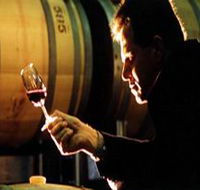 Salena Estate Wines - Accommodation Whitsundays