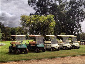 Loxton Golf Club - Accommodation Whitsundays 0