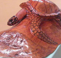 Ants Redgum Gallery - Accommodation Whitsundays