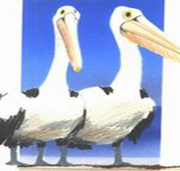 Bay of Shoals Wines - Accommodation Whitsundays