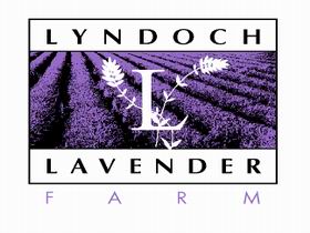 Lyndoch Lavender Farm And Cafe - Accommodation Whitsundays 0