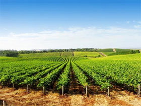  Accommodation Whitsundays