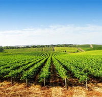 Aldinga Bay Winery - Accommodation Whitsundays