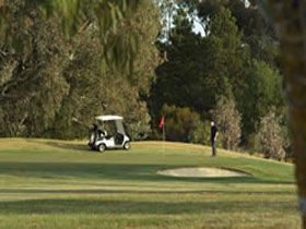Barossa Valley Golf Club Incorporated - Accommodation Whitsundays 0