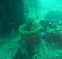 Wallaroo Scuba Club - Accommodation Whitsundays