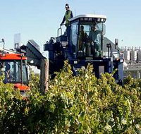 Ballast Stone Estate Wines Pty Ltd - Accommodation Whitsundays