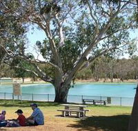Naracoorte Nature Park and Swimming Lake - Accommodation Whitsundays