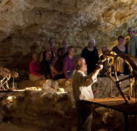 Naracoorte Caves National Park - Accommodation Whitsundays