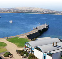 Granite Island Nature Park - Guided Penguin Tours - Accommodation Whitsundays