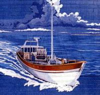 Southern Fleurieu Fish - Accommodation Whitsundays