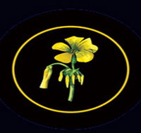 Battle of Bosworth Wines - Accommodation Whitsundays