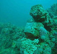Adelaide's Underwater Heritage Trail - Accommodation Whitsundays