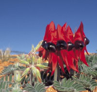 Alan Mclellan Lookout - Accommodation Whitsundays