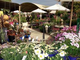 Serenity Nursery - Accommodation Whitsundays 0