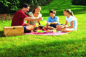 Bruny Island TAS Accommodation Whitsundays
