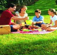 Bruny Island Berry Farm - Accommodation Whitsundays